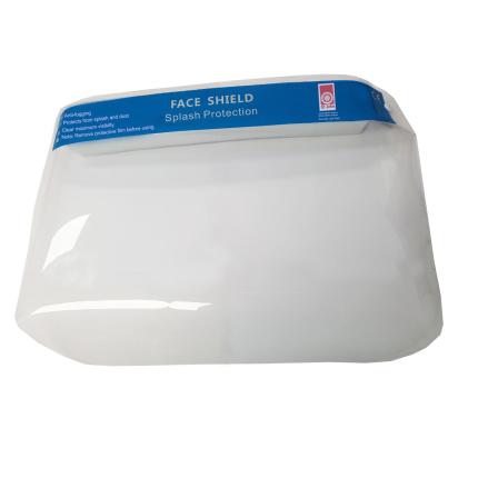 Medical isolation visor