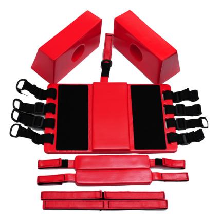 Head Immobilizer