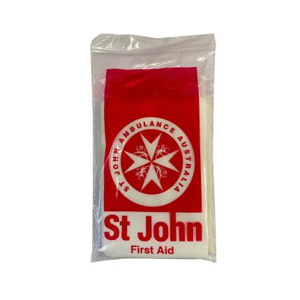 Disposable towel (bag of 6)
